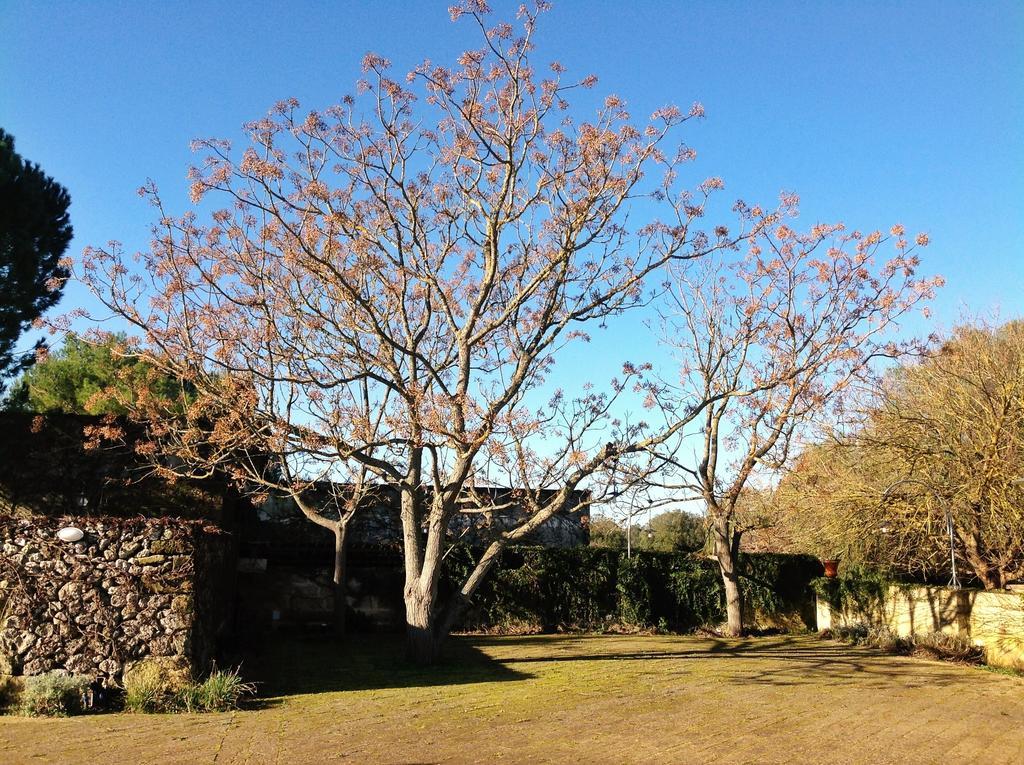 Tenuta Sant'Andrea Giuggianello ภายนอก รูปภาพ