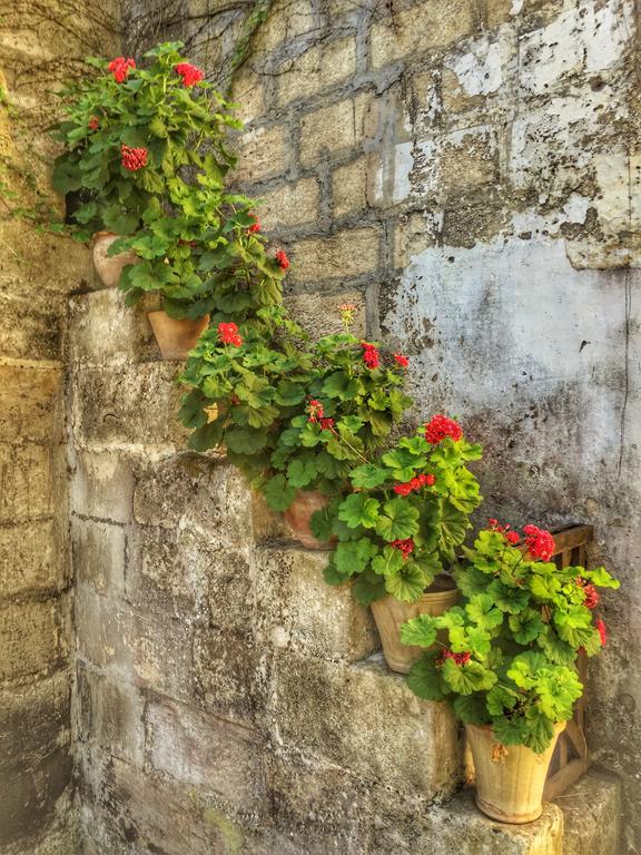 Tenuta Sant'Andrea Giuggianello ภายนอก รูปภาพ