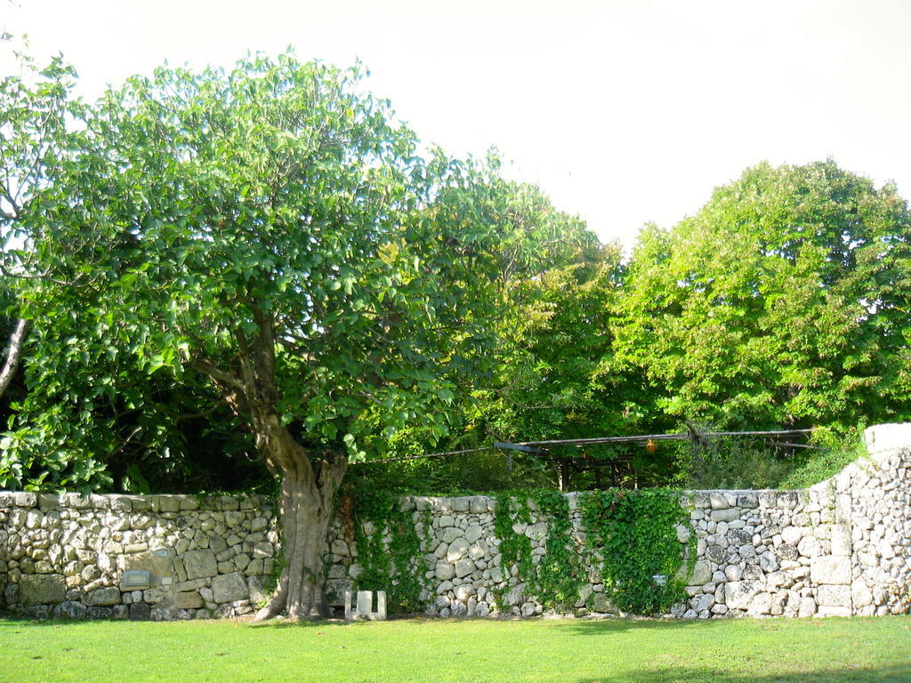 Tenuta Sant'Andrea Giuggianello ภายนอก รูปภาพ