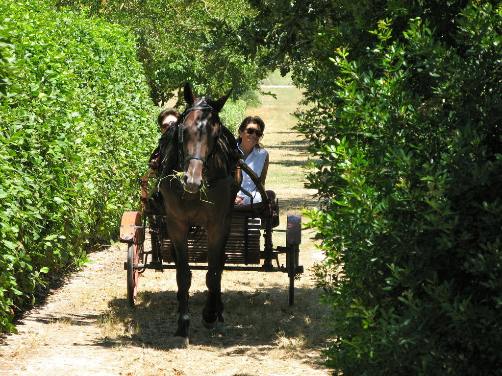 Tenuta Sant'Andrea Giuggianello ภายนอก รูปภาพ